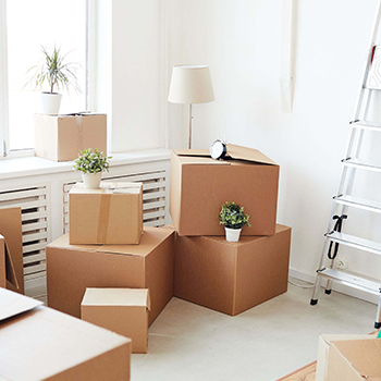 Move-In & Move-Out Cleaning